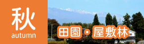 秋+田園・屋敷林